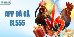 Đá gà Bl555