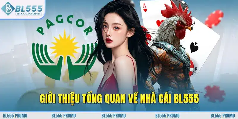 Giới thiệu tổng quan về nhà cái BL555
